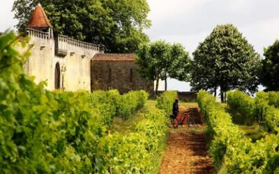 « Randonnées dans l’Ouest Charente: paysages, histoire et patrimoine »